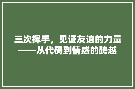 三次挥手，见证友谊的力量——从代码到情感的跨越