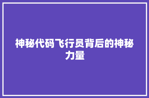 神秘代码飞行员背后的神秘力量