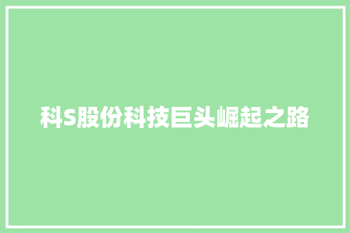 科S股份科技巨头崛起之路