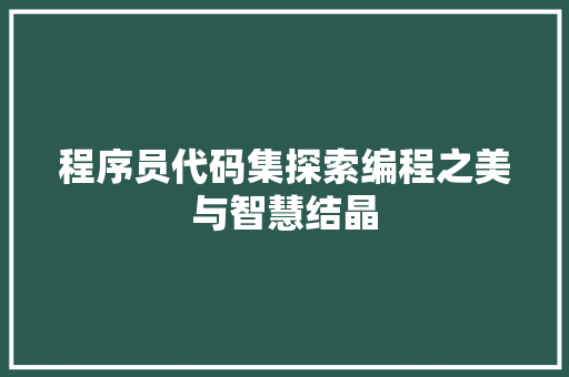 程序员代码集探索编程之美与智慧结晶