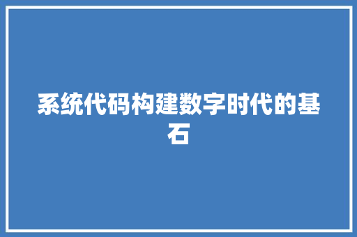 系统代码构建数字时代的基石
