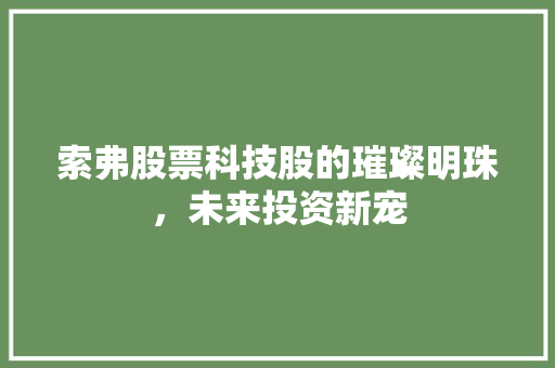 索弗股票科技股的璀璨明珠，未来投资新宠