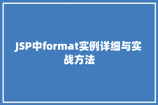 JSP中format实例详细与实战方法