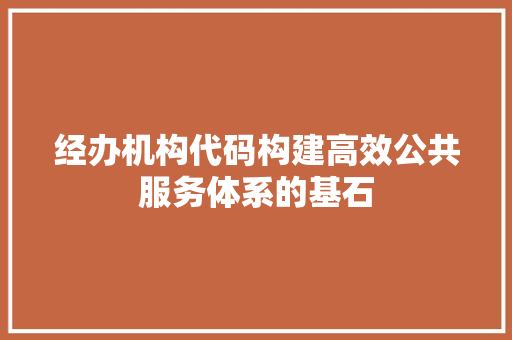 经办机构代码构建高效公共服务体系的基石