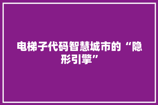 电梯子代码智慧城市的“隐形引擎”