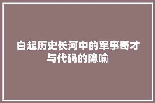 白起历史长河中的军事奇才与代码的隐喻