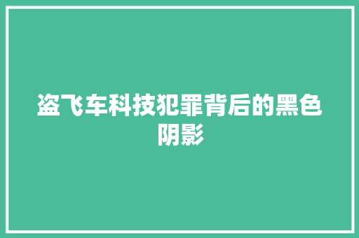 盗飞车科技犯罪背后的黑色阴影