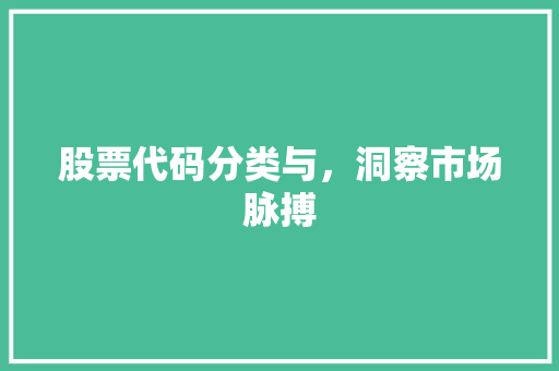 股票代码分类与，洞察市场脉搏