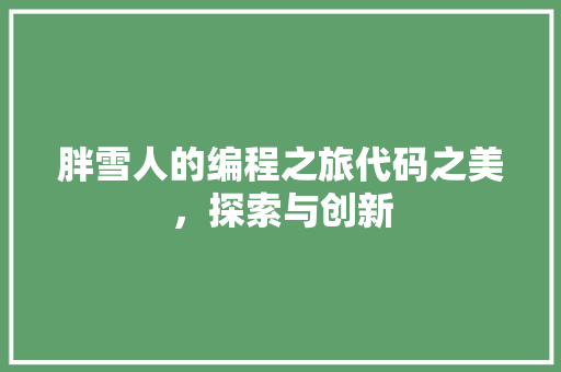 胖雪人的编程之旅代码之美，探索与创新
