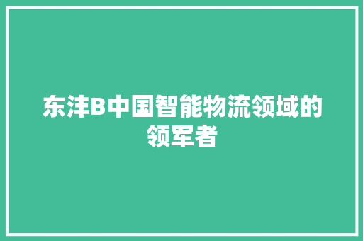东沣B中国智能物流领域的领军者