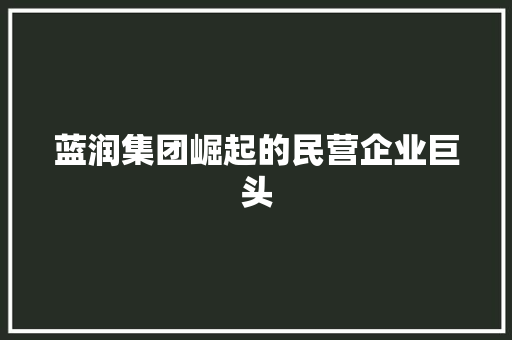 蓝润集团崛起的民营企业巨头