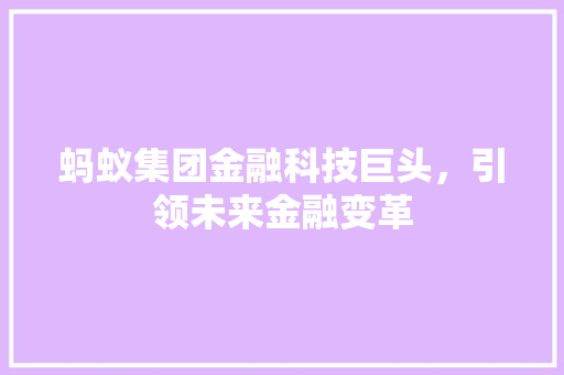蚂蚁集团金融科技巨头，引领未来金融变革