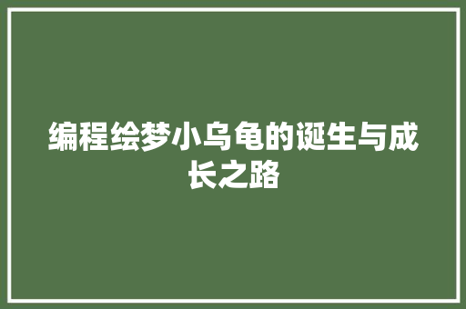 编程绘梦小乌龟的诞生与成长之路