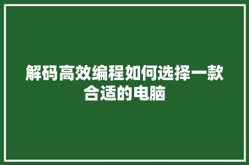 解码高效编程如何选择一款合适的电脑