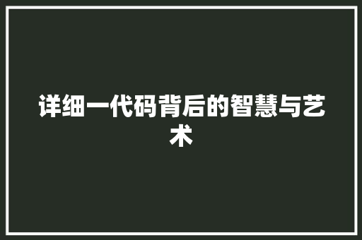 详细一代码背后的智慧与艺术