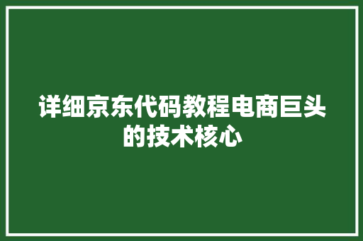 详细京东代码教程电商巨头的技术核心