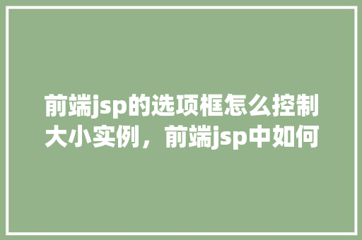 前端jsp的选项框怎么控制大小实例，前端jsp中如何调整选项框大小的实例讲解