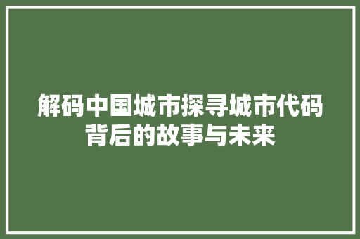 解码中国城市探寻城市代码背后的故事与未来