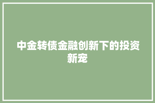 中金转债金融创新下的投资新宠