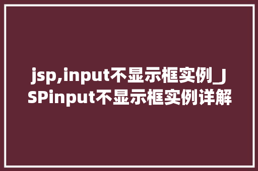 jsp,input不显示框实例_JSPinput不显示框实例详解常见问题与解决方法