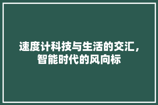 速度计科技与生活的交汇，智能时代的风向标