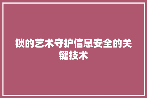 锁的艺术守护信息安全的关键技术