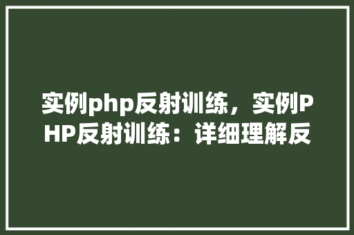 实例php反射训练,实例PHP反射训练:详细理解反射机制实战例子