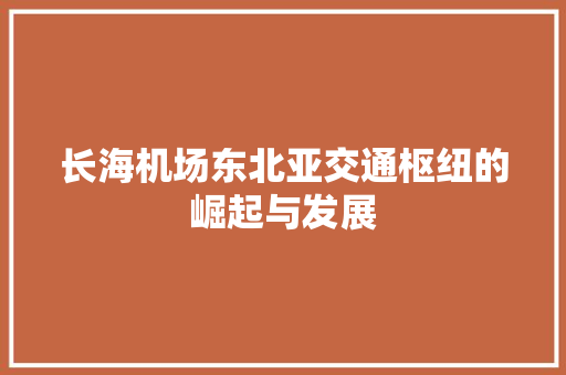 长海机场东北亚交通枢纽的崛起与发展