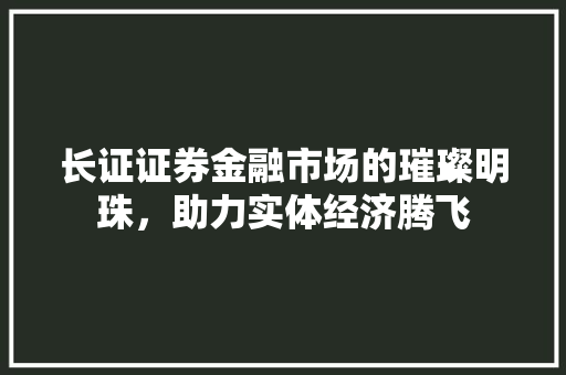 长证证券金融市场的璀璨明珠，助力实体经济腾飞