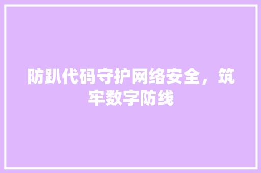 防趴代码守护网络安全，筑牢数字防线