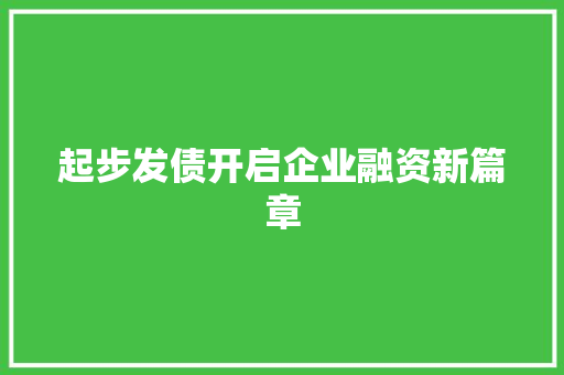 起步发债开启企业融资新篇章