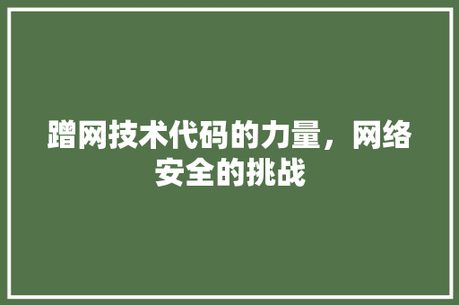 蹭网技术代码的力量，网络安全的挑战
