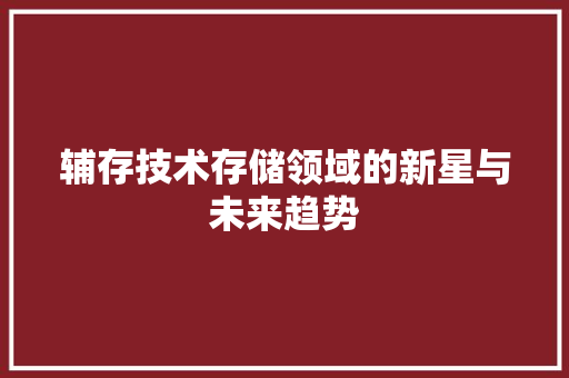 辅存技术存储领域的新星与未来趋势
