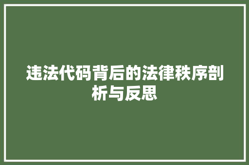 违法代码背后的法律秩序剖析与反思