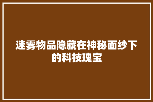 迷雾物品隐藏在神秘面纱下的科技瑰宝