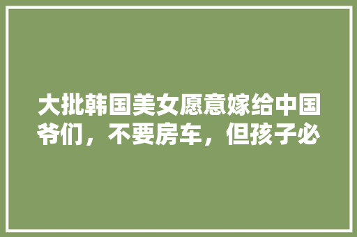 5E陀螺探索创新教育领域的璀璨明珠