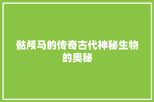 骷颅马的传奇古代神秘生物的奥秘