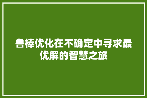 鲁棒优化在不确定中寻求最优解的智慧之旅