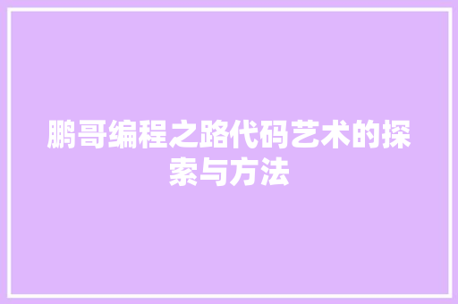 鹏哥编程之路代码艺术的探索与方法