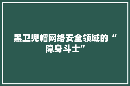 黑卫兜帽网络安全领域的“隐身斗士”
