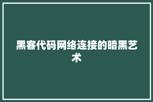 黑客代码网络连接的暗黑艺术