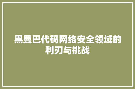 黑曼巴代码网络安全领域的利刃与挑战