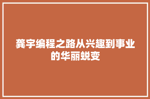 龚宇编程之路从兴趣到事业的华丽蜕变