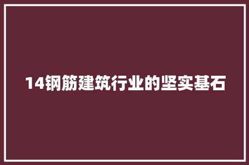 14钢筋建筑行业的坚实基石