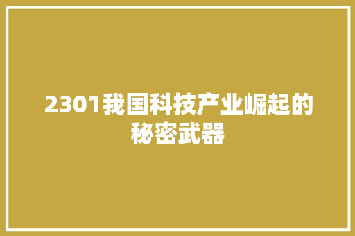 2301我国科技产业崛起的秘密武器