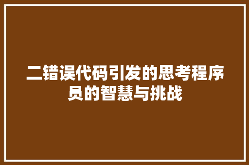 二错误代码引发的思考程序员的智慧与挑战