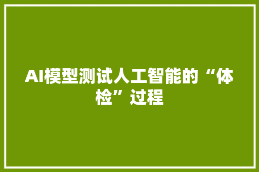 AI模型测试人工智能的“体检”过程