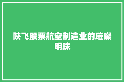 陕飞股票航空制造业的璀璨明珠