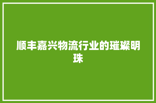 顺丰嘉兴物流行业的璀璨明珠