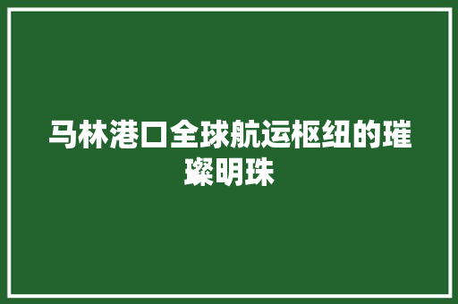 马林港口全球航运枢纽的璀璨明珠
